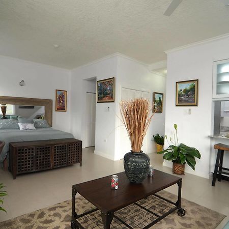 Kingsway New Kingston Guest Apartment II Eksteriør billede